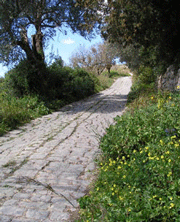 Strada di campagna