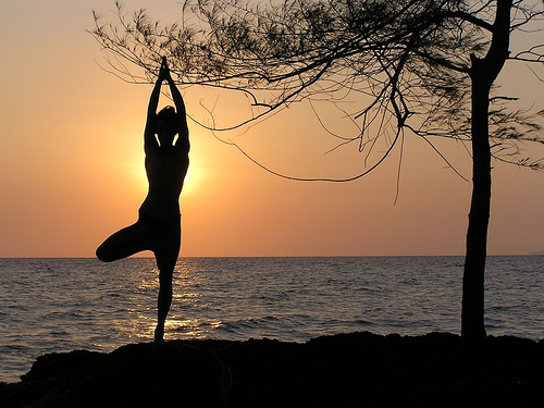 Yoga-ista in equilibrio
