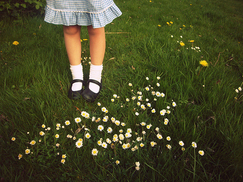 Gambe di una bambina su un prato di margherite