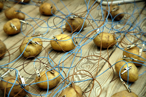 Elettrodi e patate