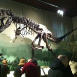 Milano - Museo civico di Storia Naturale - Tirannosauro