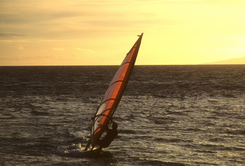 Wind surfer