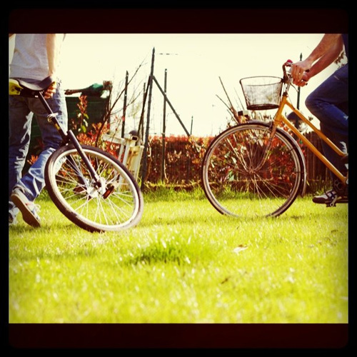 Bicicletta vs monociclo