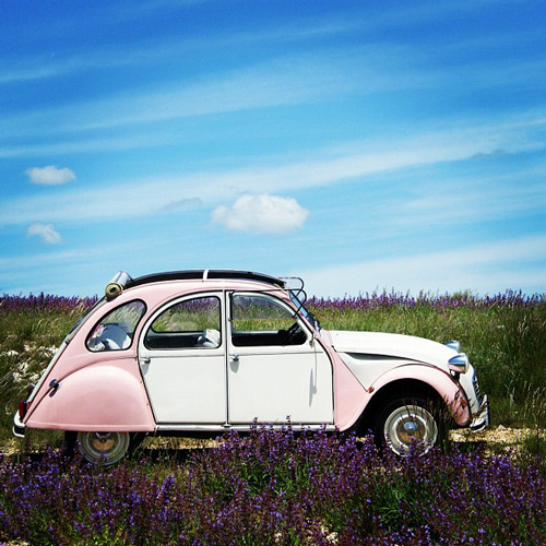 Citroen 2CV in Provenza