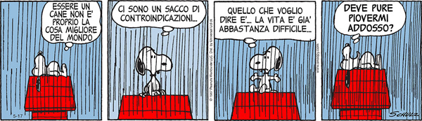 Snoopy cane pioggia
